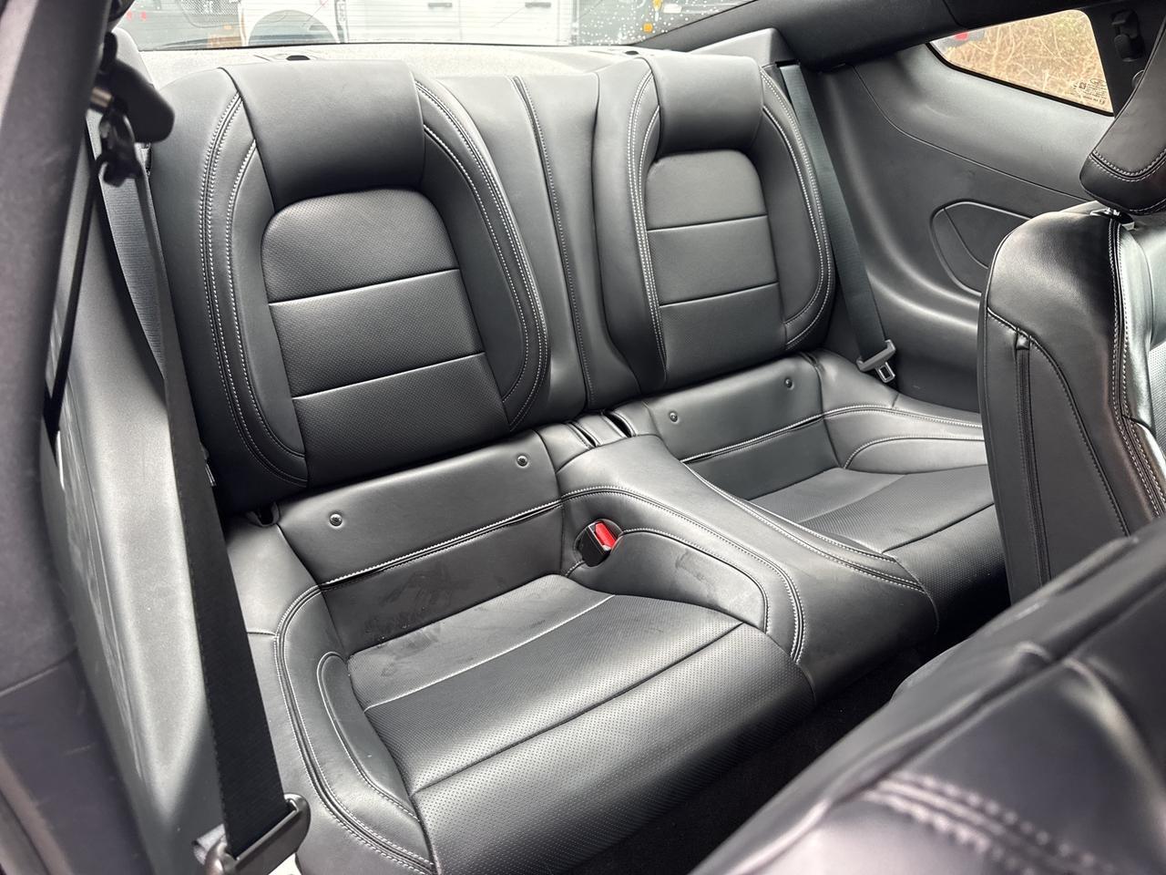 2024 Ford Mustang GT Premium Warrenton VA