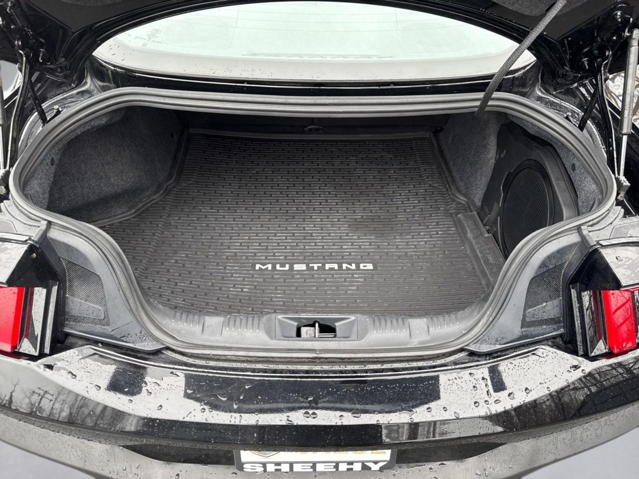 2024 Ford Mustang GT Premium Warrenton VA