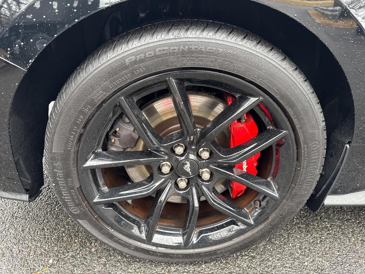 2024 Ford Mustang GT Premium Warrenton VA