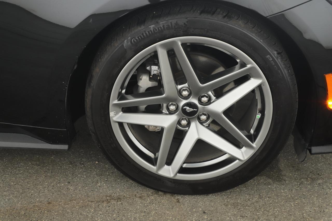 2024 Ford Mustang I4CP New Braunfels TX