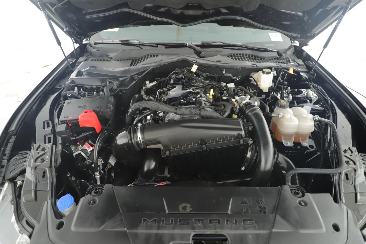 2024 Ford Mustang I4CP New Braunfels TX