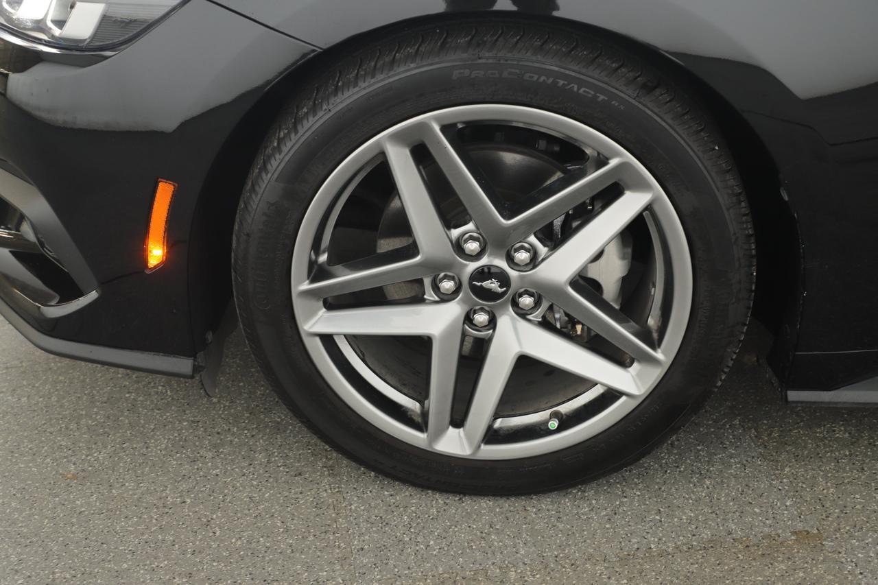 2024 Ford Mustang I4CP New Braunfels TX