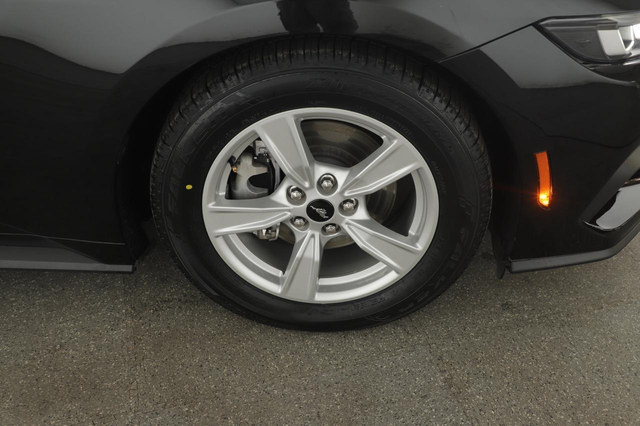 2024 Ford Mustang I4CP New Braunfels TX