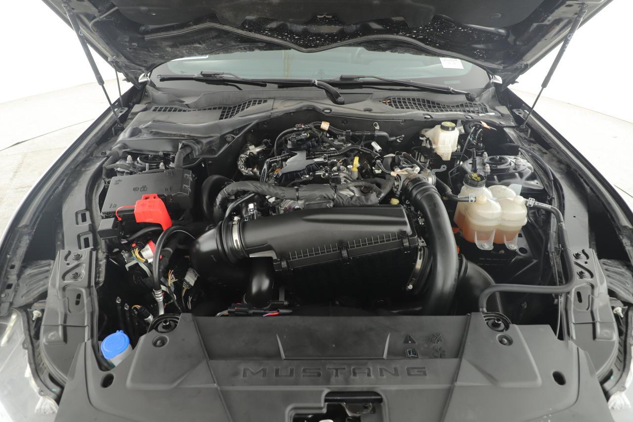 2024 Ford Mustang I4CP New Braunfels TX