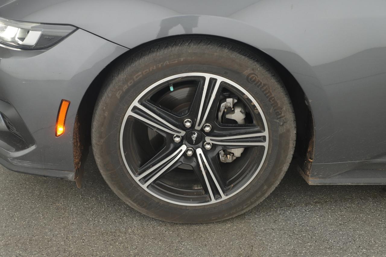 2024 Ford Mustang I4CP New Braunfels TX