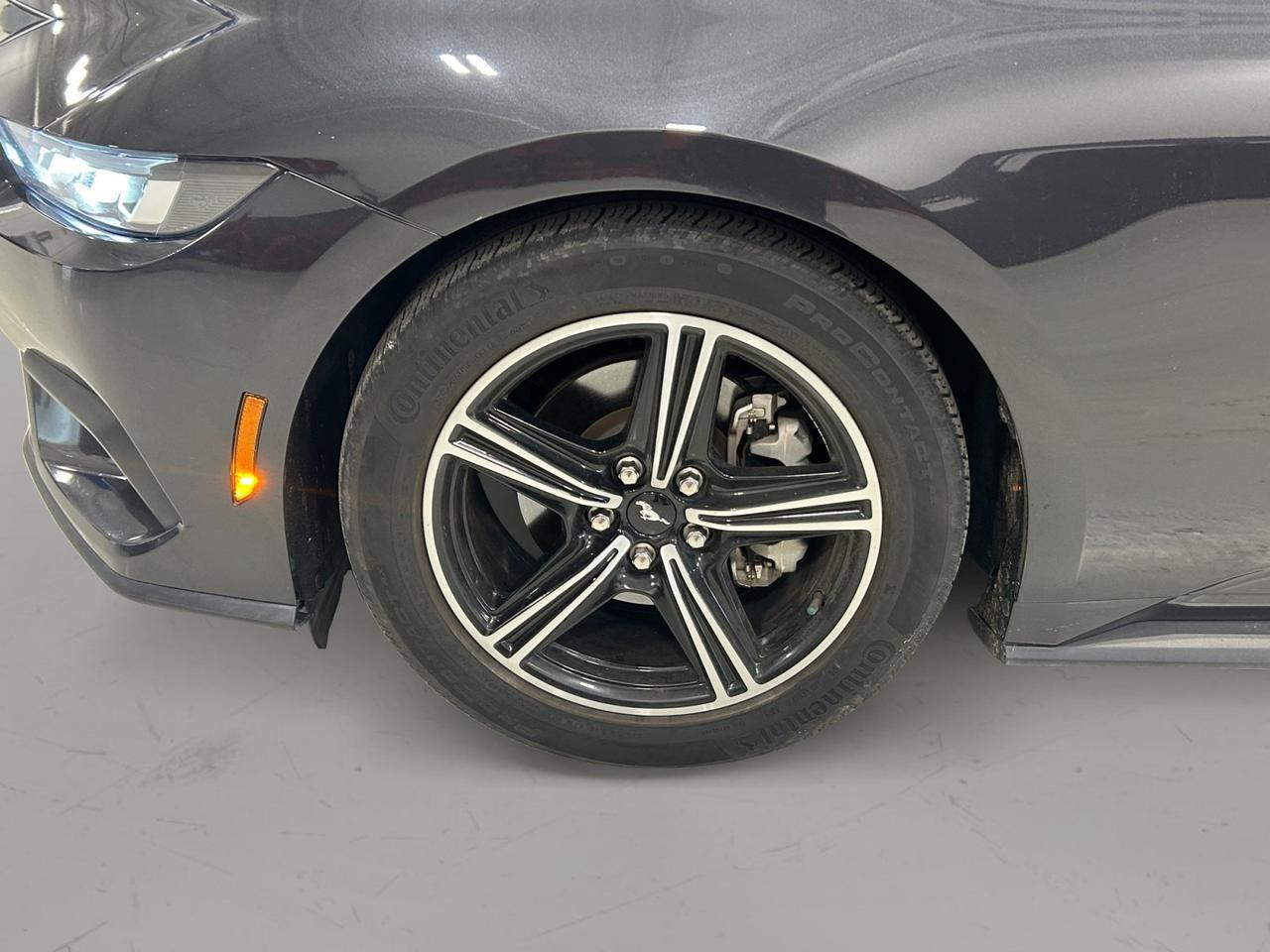 2024 Ford Mustang I4CP New Braunfels TX