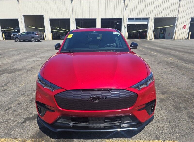 2024 Ford Mustang Mach-E GT Willowbrook IL
