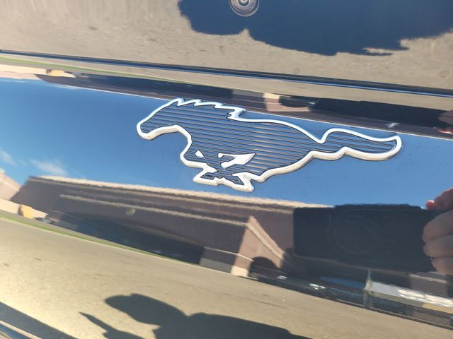 2024 Ford Mustang Mach-E Premium Folsom CA