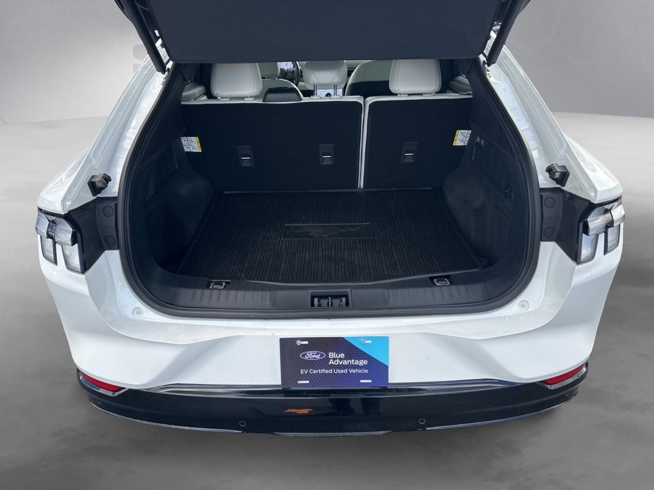 2024 Ford Mustang Mach-E Premium Richmond VA