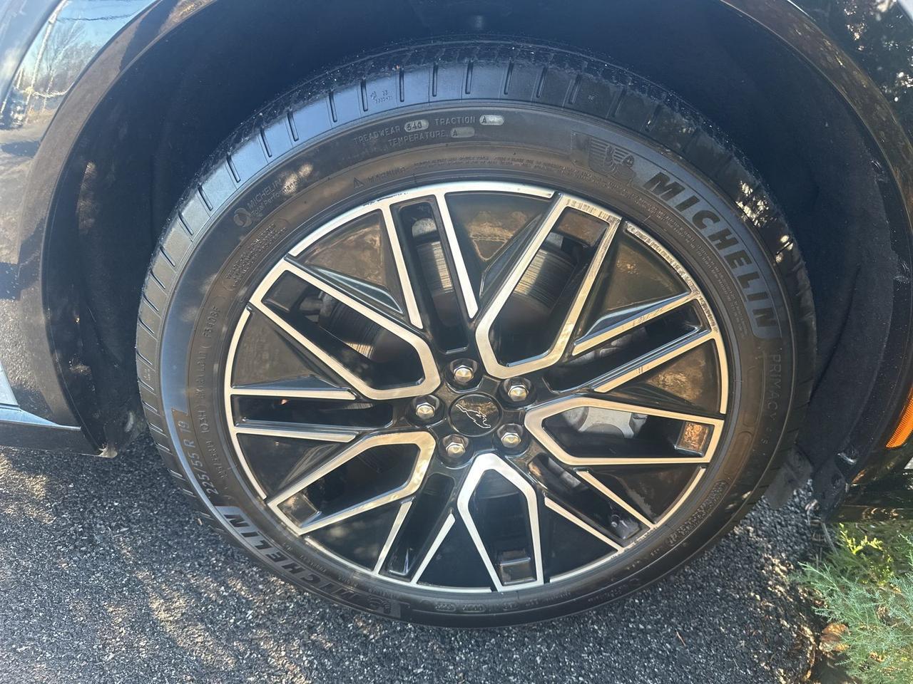 2024 Ford Mustang Mach-E Premium Springfield VA