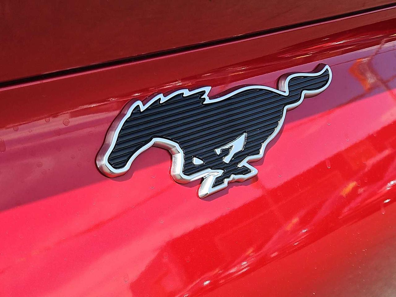 2024 Ford Mustang Mach-E Select Irving TX