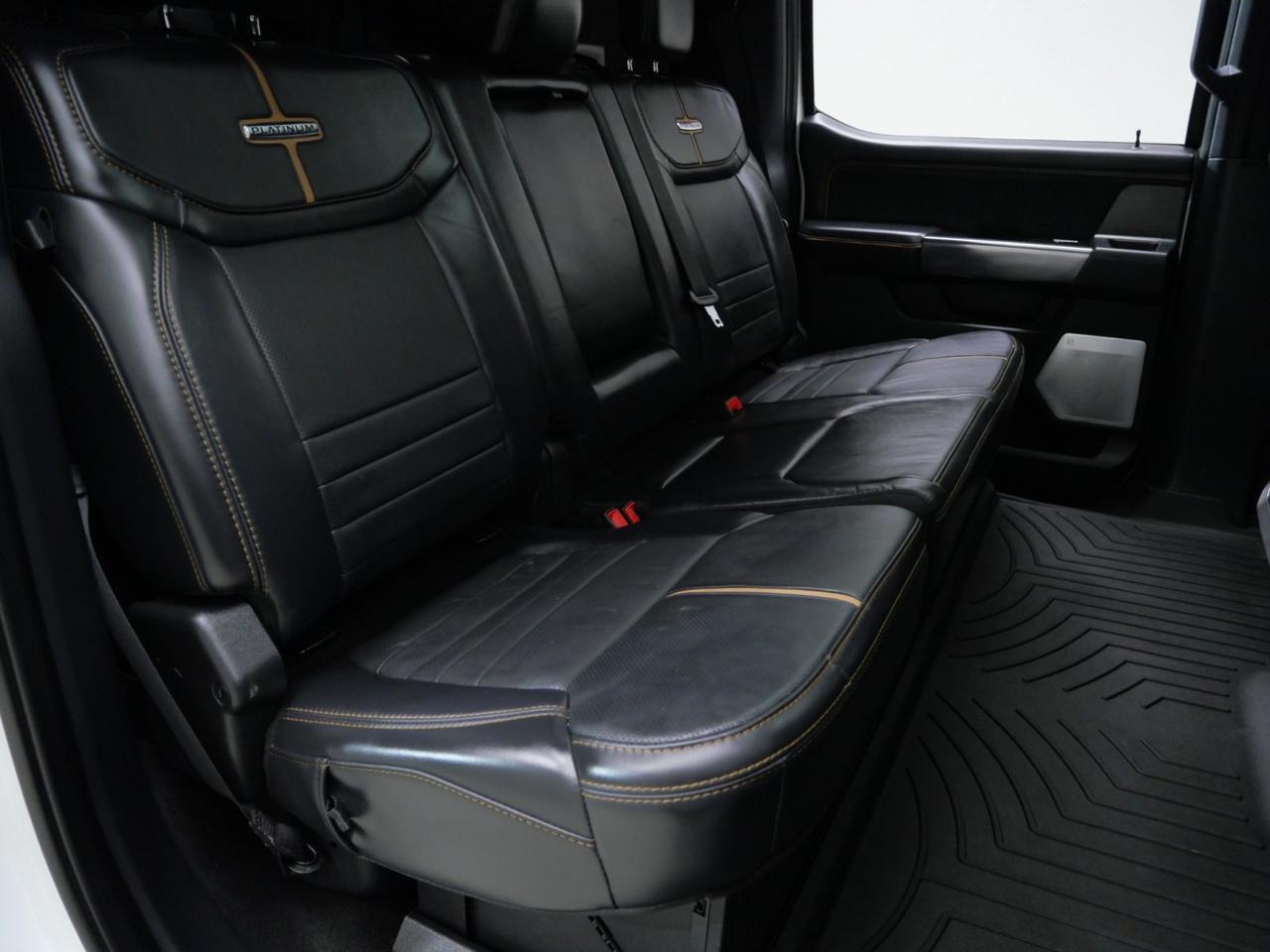 2024 Ford Super Duty F-250 Platinum FX4 High Output 6.7L Power Stroke 4x4 Mansfield TX