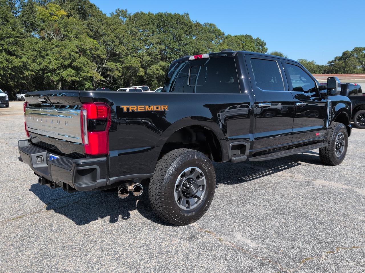 2024 Ford Super Duty F-250 SRW Platinum Winder GA