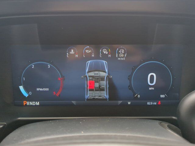 2024 Ford Super Duty F-250 SRW Platinum Winder GA