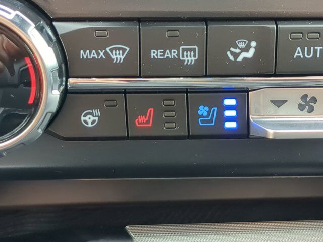 2024 Ford Super Duty F-250 SRW Platinum Winder GA