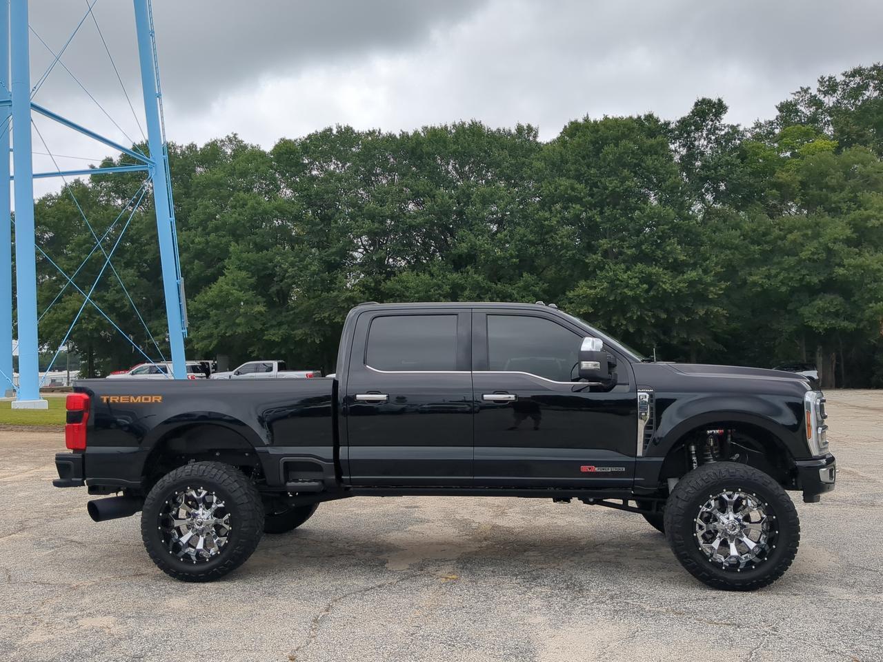 2024 Ford Super Duty F-350 SRW Platinum Appleton WI
