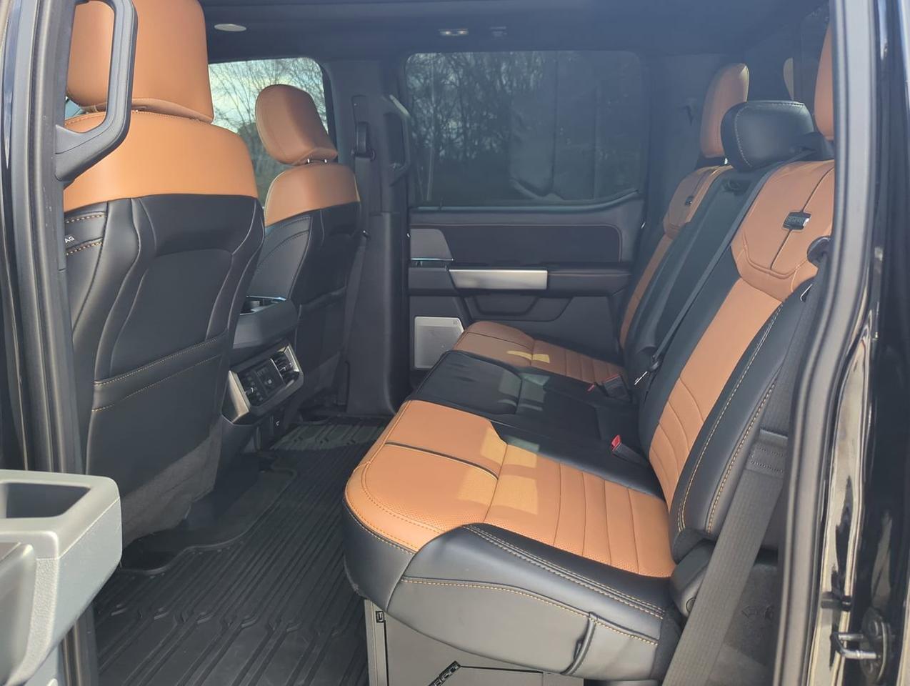 2024 Ford Super Duty F-350 SRW Platinum Winder GA