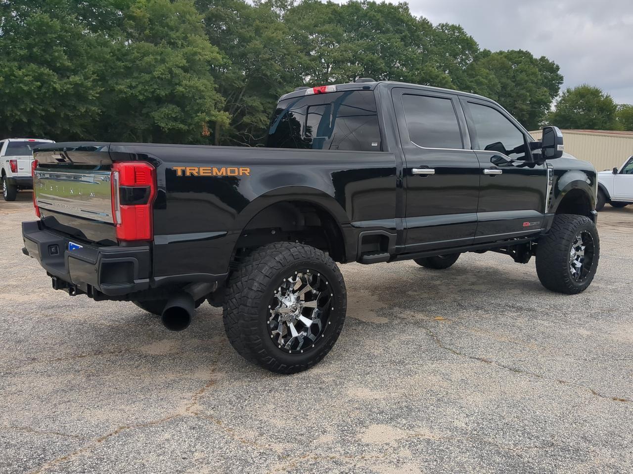 2024 Ford Super Duty F-350 SRW Platinum Winder GA