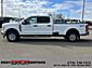 2024 Ford Super Duty F-350 SRW XLT Elko NV