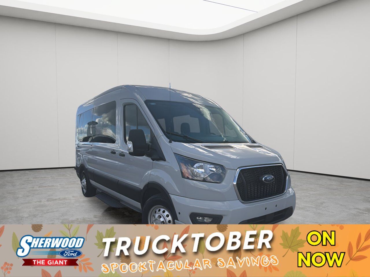 2024 Ford Transit Passenger Wagon