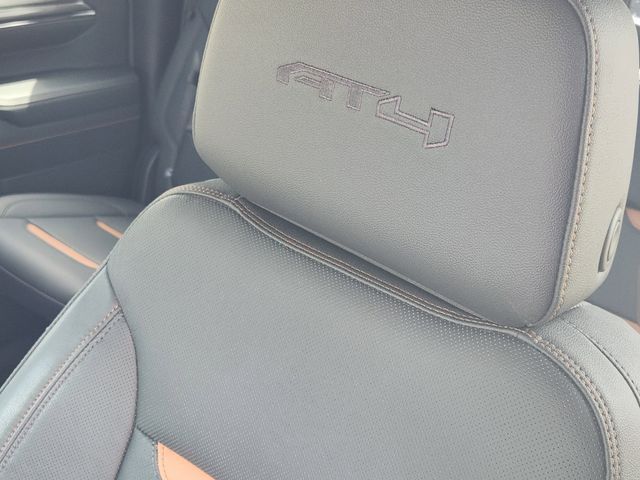 2024 GMC Sierra 1500 AT4 Grapevine TX