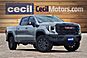 2024 GMC Sierra 1500 AT4X  TX