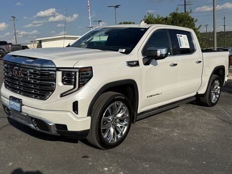 2024 GMC Sierra 1500 Denali  TX