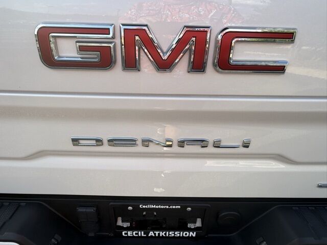 2024 GMC Sierra 1500 Denali  TX