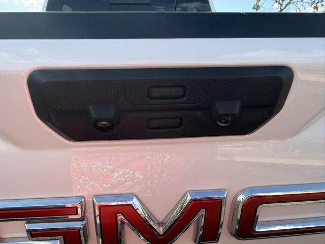 2024 GMC Sierra 1500 Denali  TX