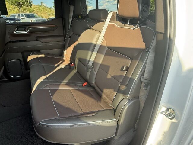 2024 GMC Sierra 1500 Denali  TX