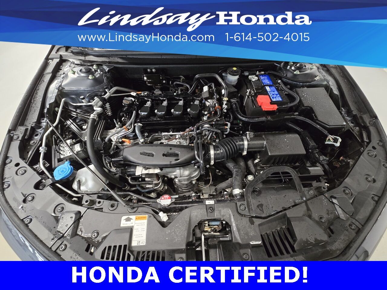 2024 Honda Accord EX Columbus OH