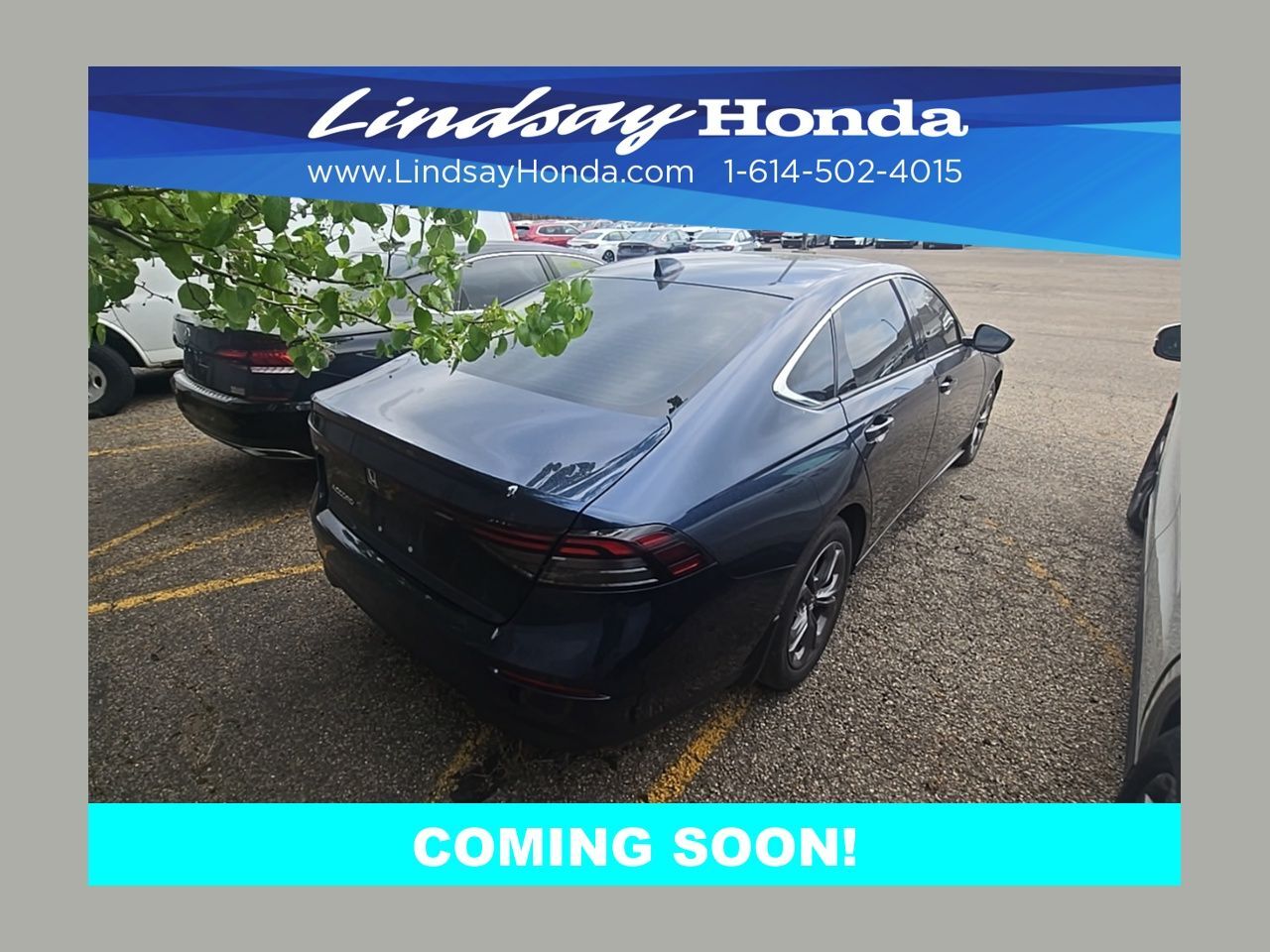 2024 Honda Accord EX