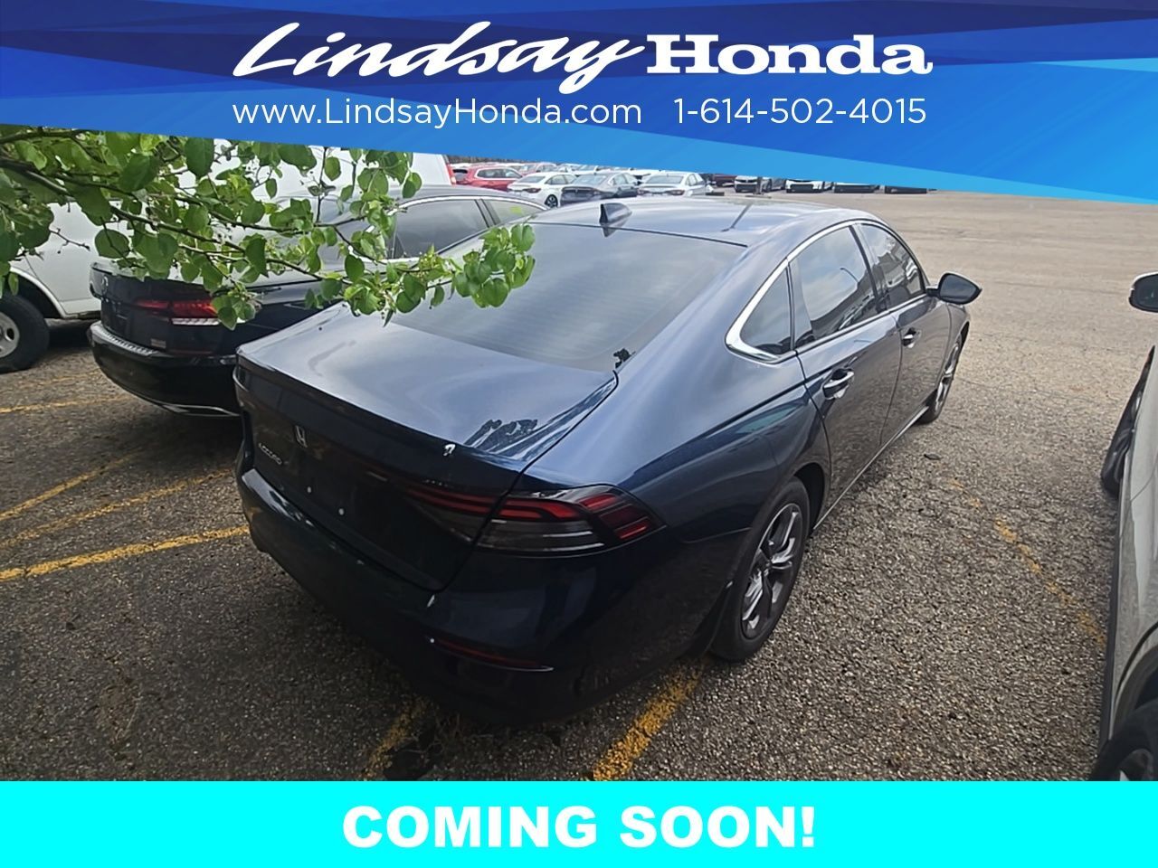 2024 Honda Accord EX