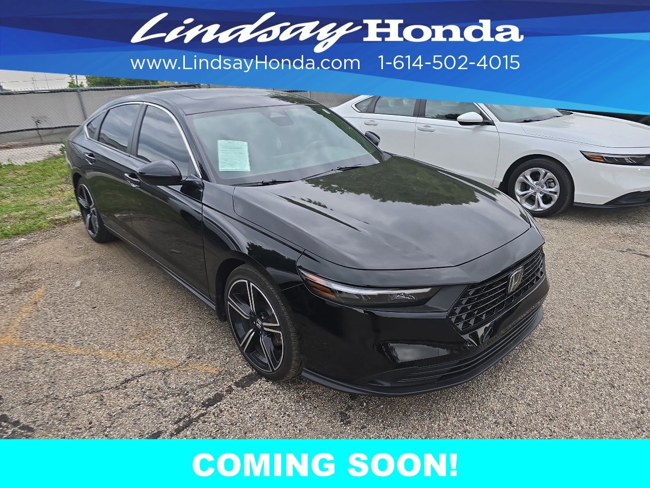 2024 Honda Accord Hybrid Sport