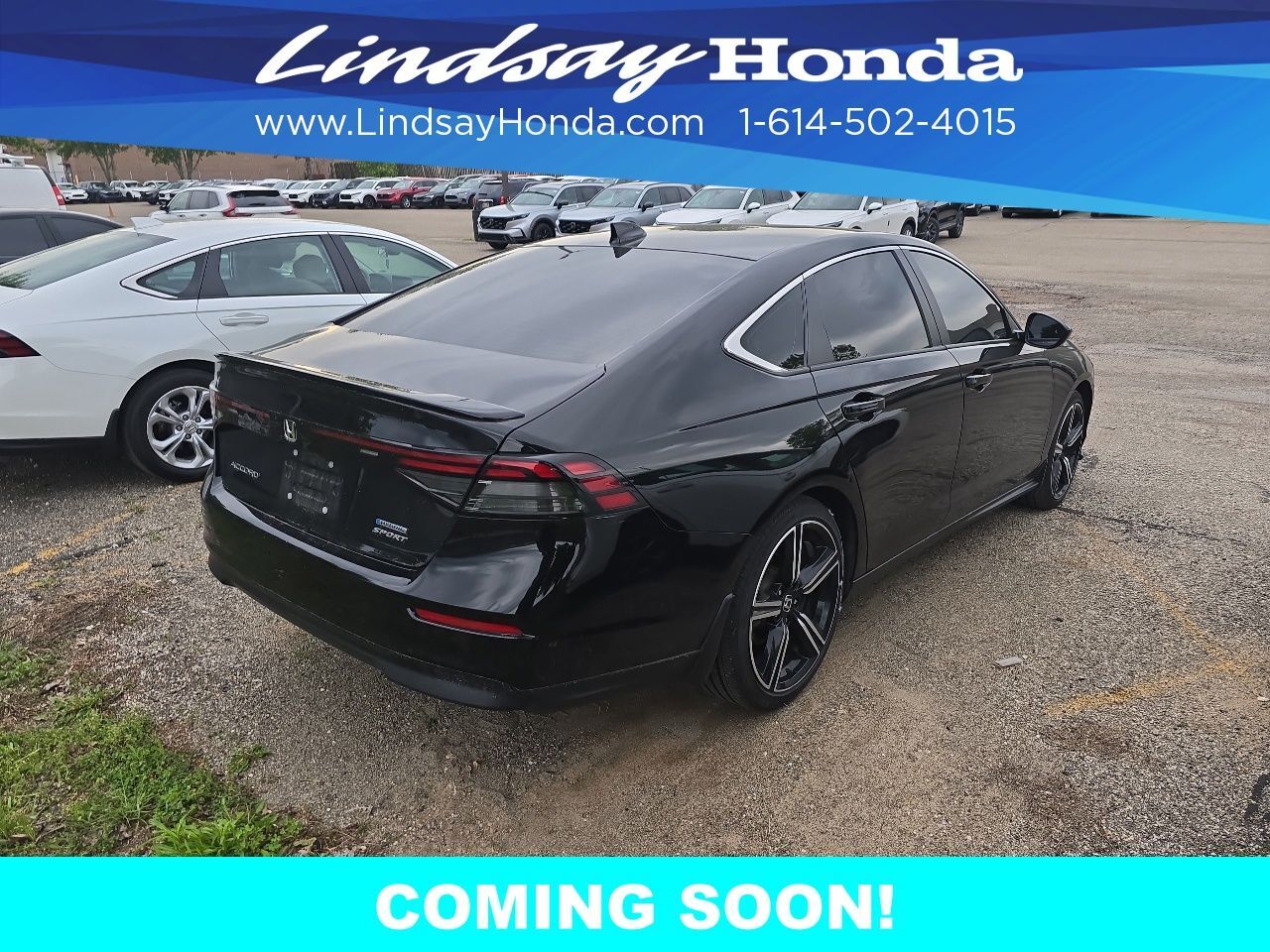 2024 Honda Accord Hybrid Sport