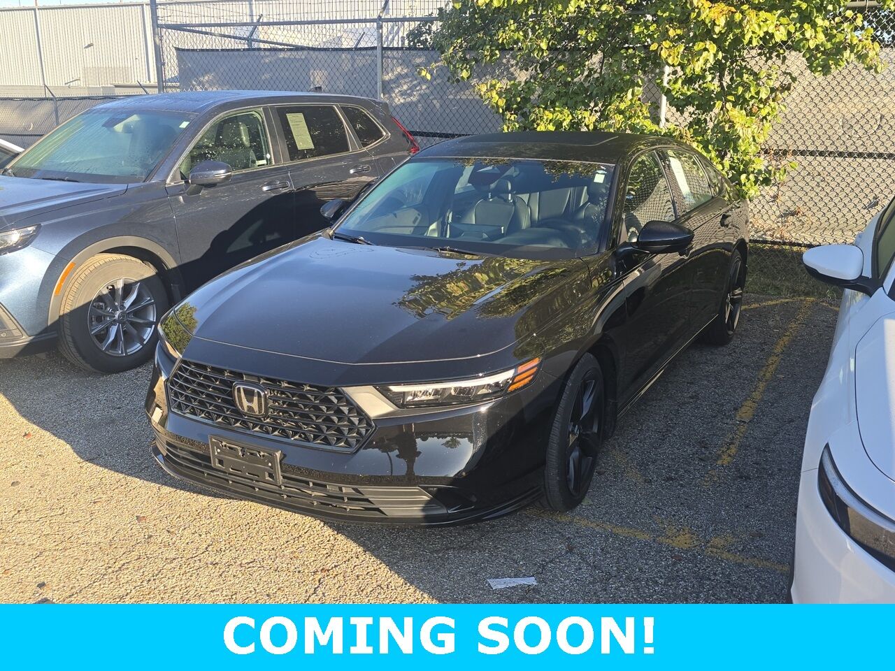 2024 Honda Accord Hybrid Sport-L Columbus OH