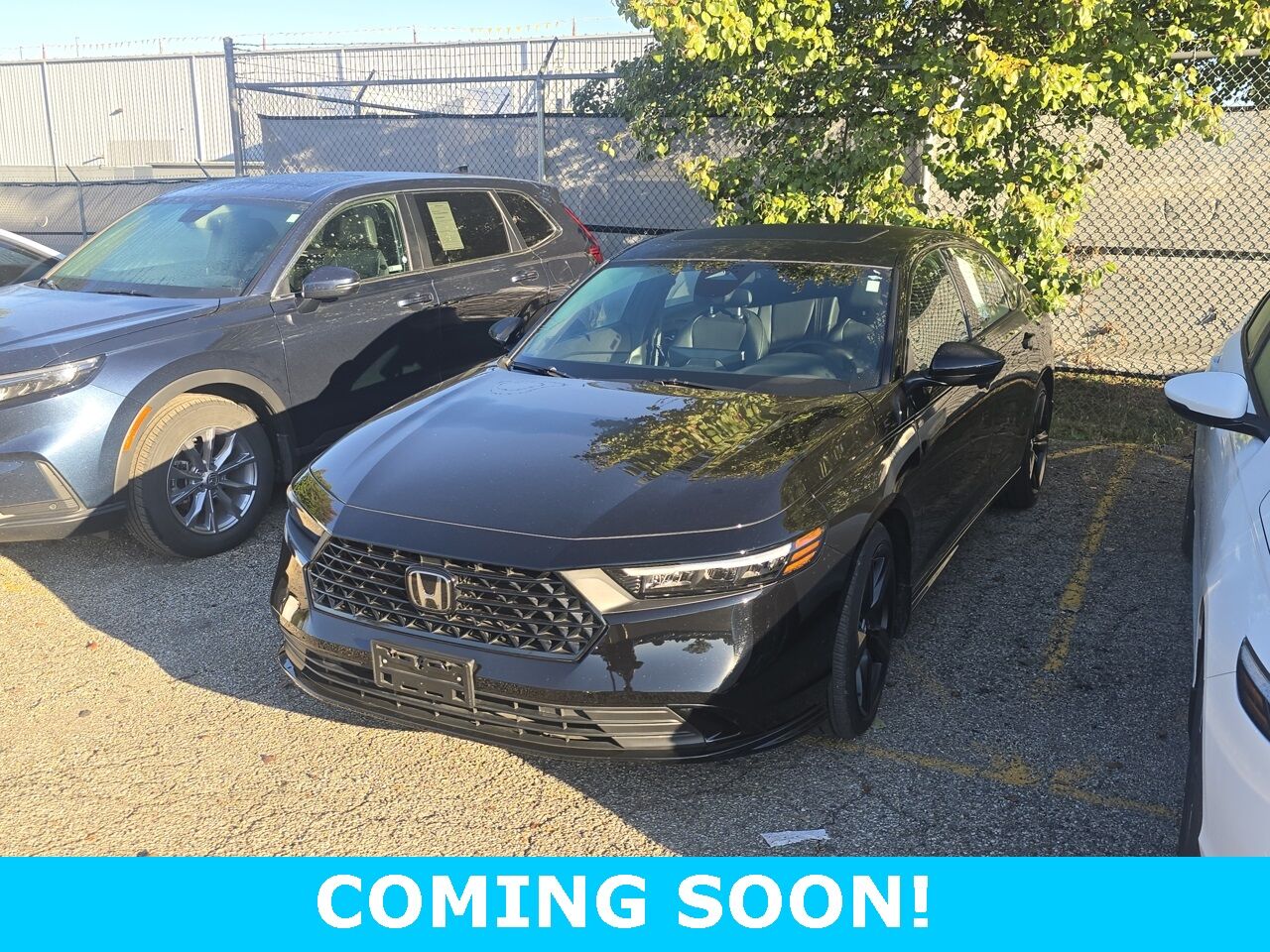 2024 Honda Accord Hybrid Sport-L Columbus OH