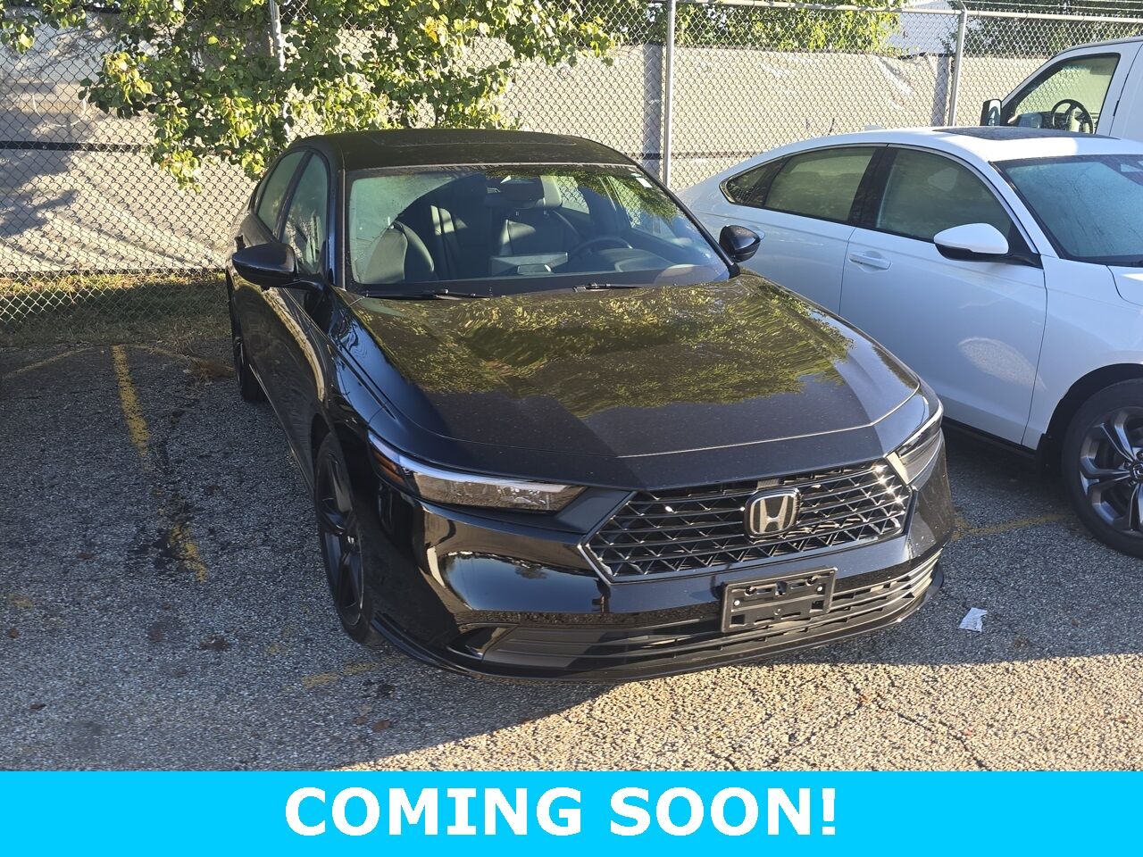 2024 Honda Accord Hybrid Sport-L Columbus OH
