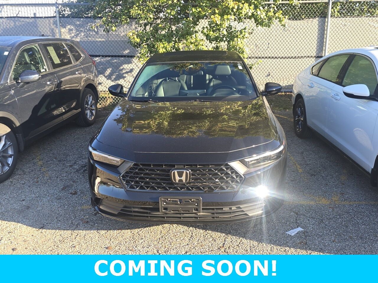 2024 Honda Accord Hybrid Sport-L Columbus OH