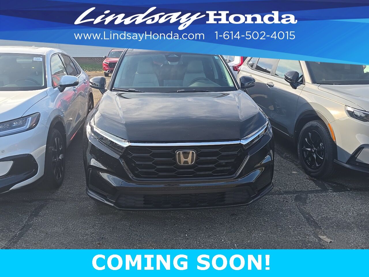 2024 Honda CR-V EX Columbus OH