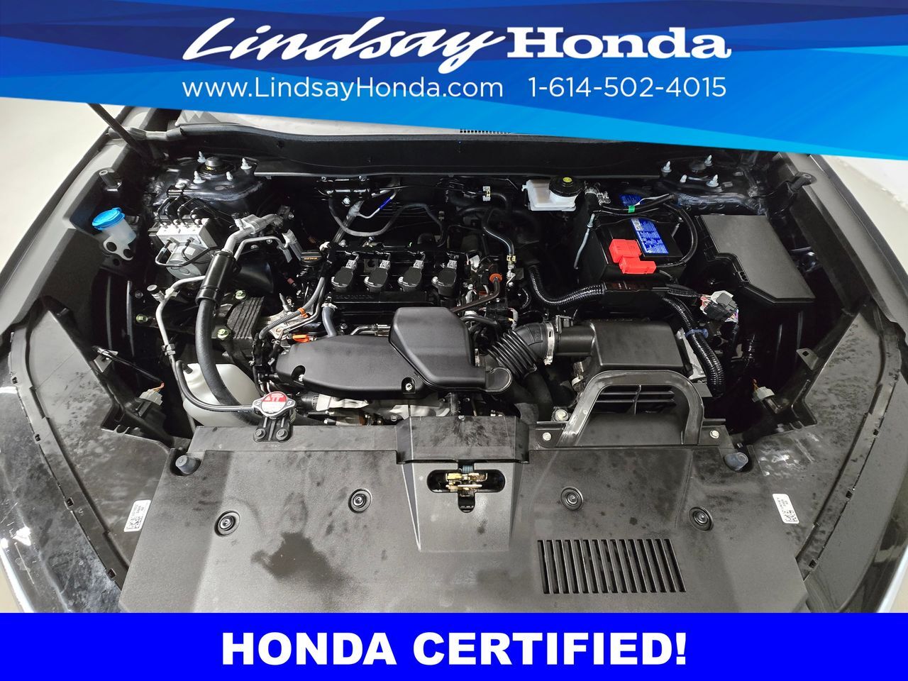2024 Honda CR-V EX Columbus OH