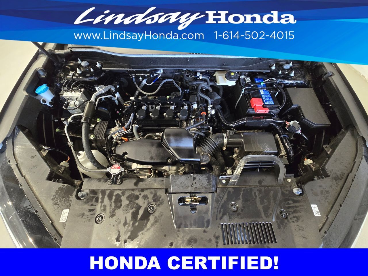 2024 Honda CR-V EX Columbus OH