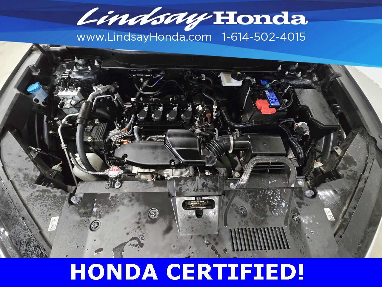 2024 Honda CR-V EX Columbus OH