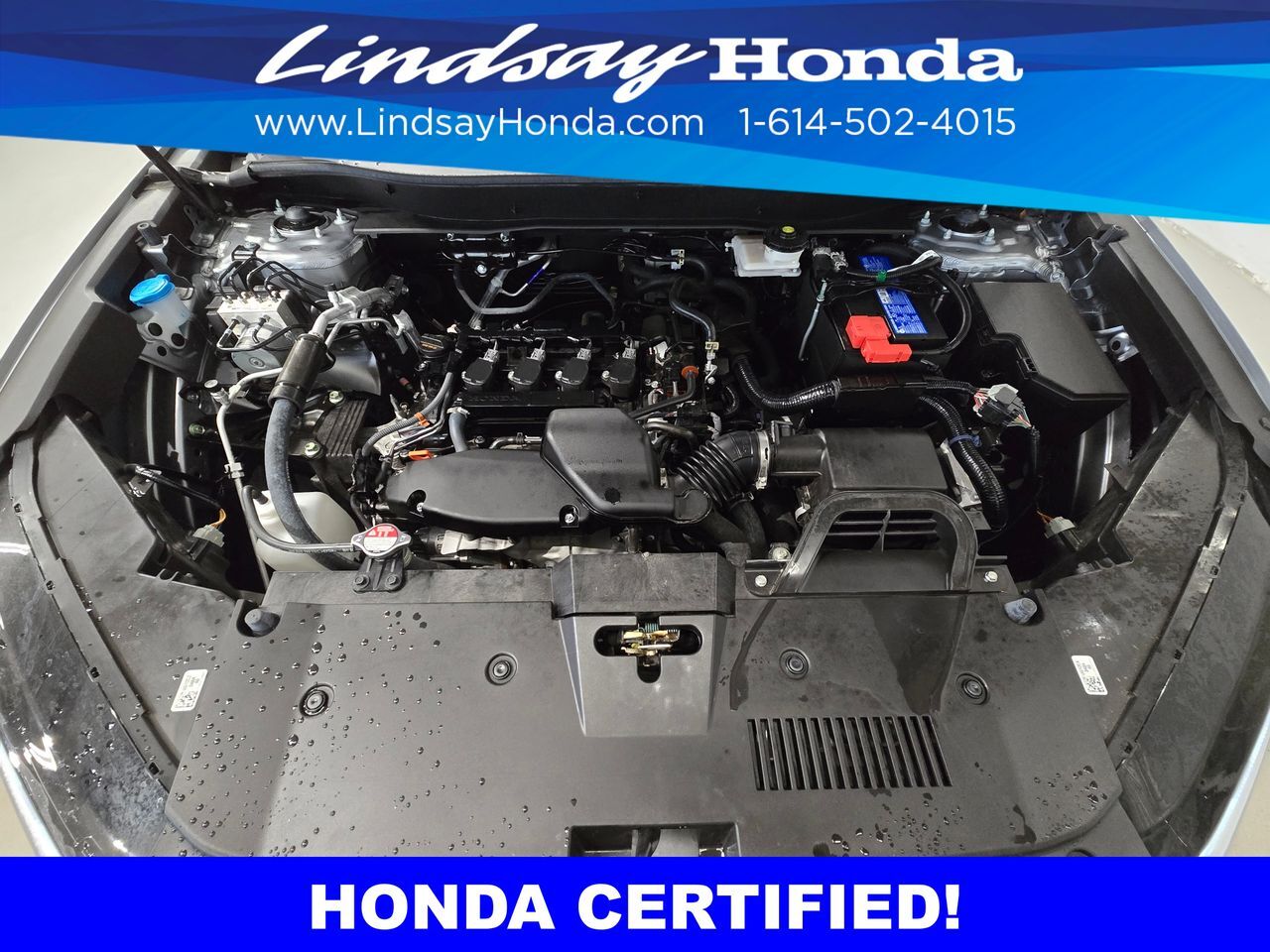 2024 Honda CR-V EX-L Columbus OH