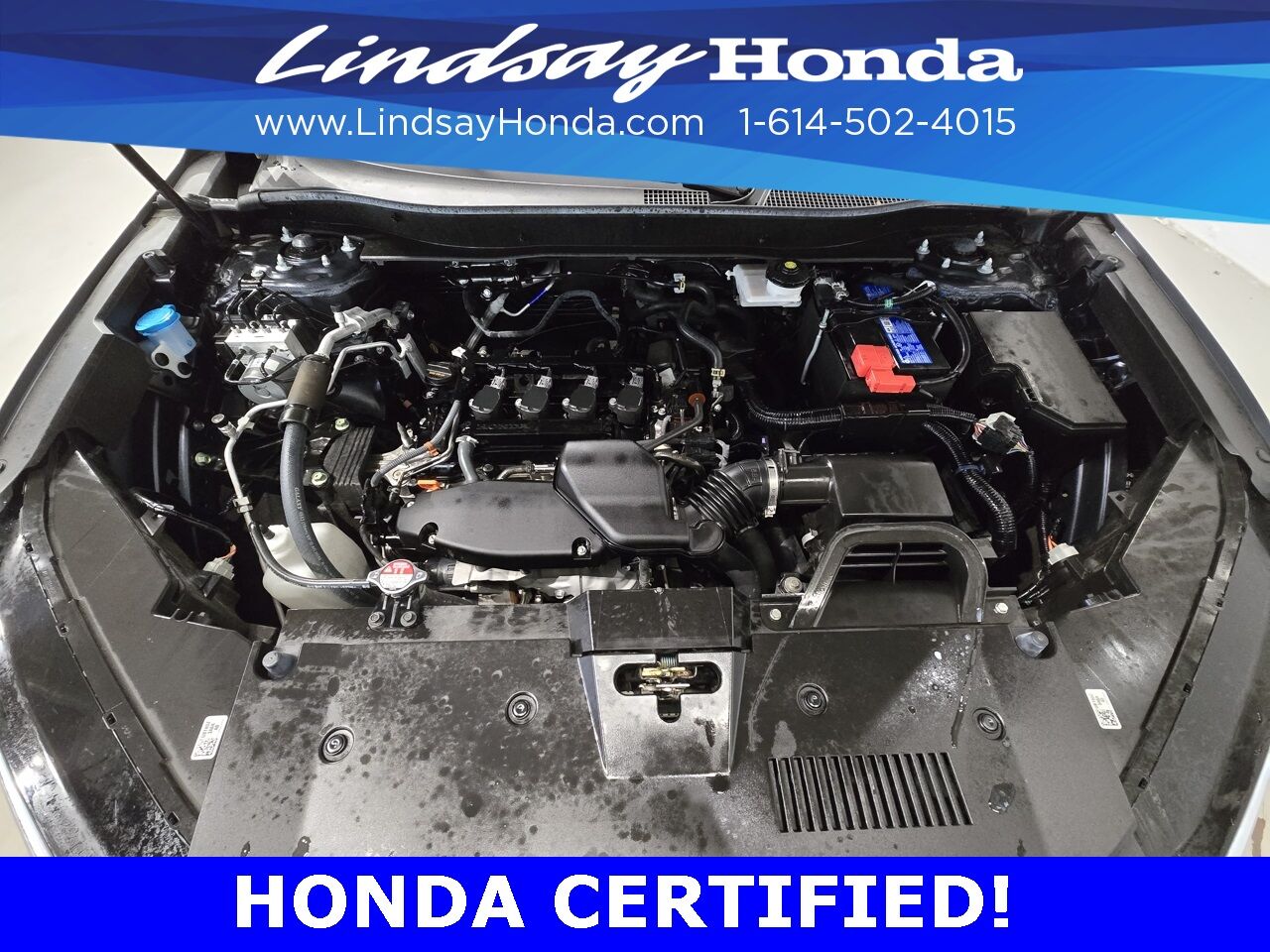 2024 Honda CR-V EX-L Columbus OH