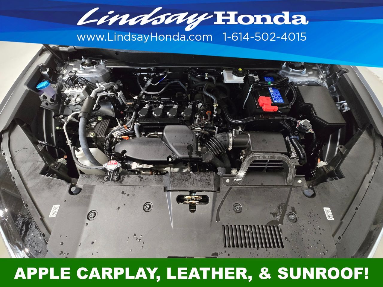 2024 Honda CR-V EX-L Columbus OH