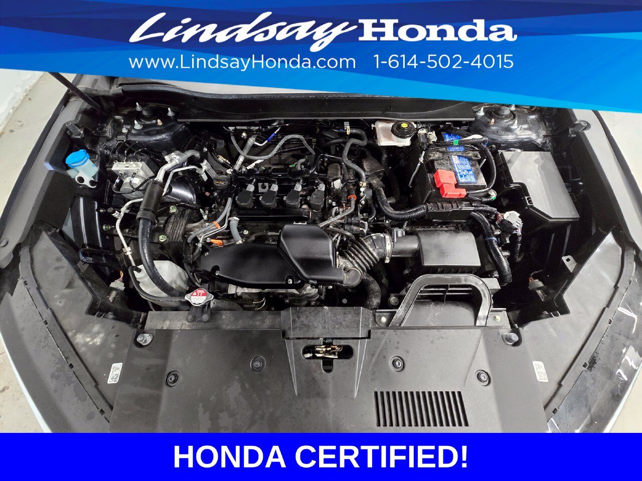 2024 Honda CR-V EX-L Columbus OH