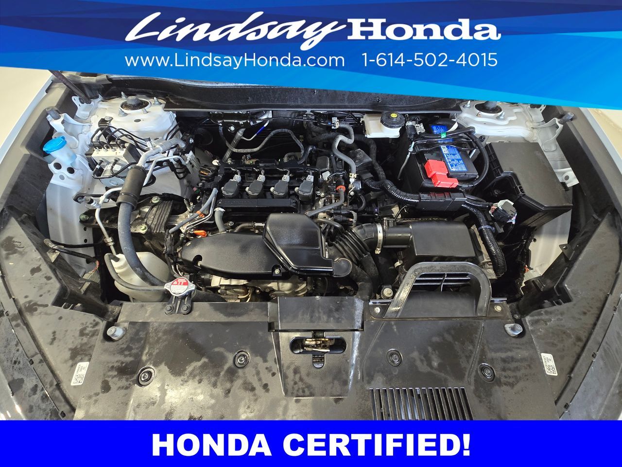 2024 Honda CR-V EX-L Columbus OH