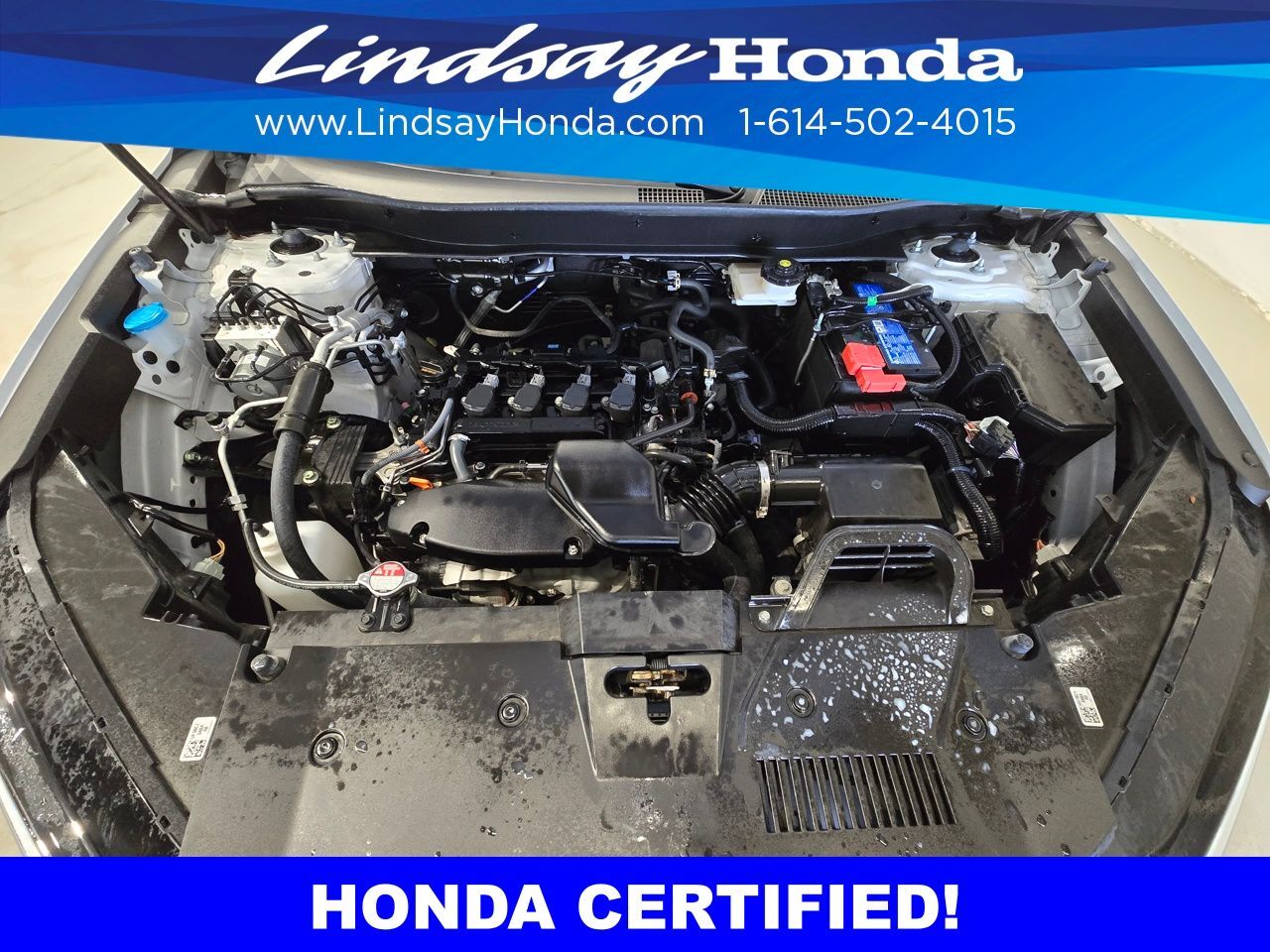 2024 Honda CR-V EX-L Columbus OH