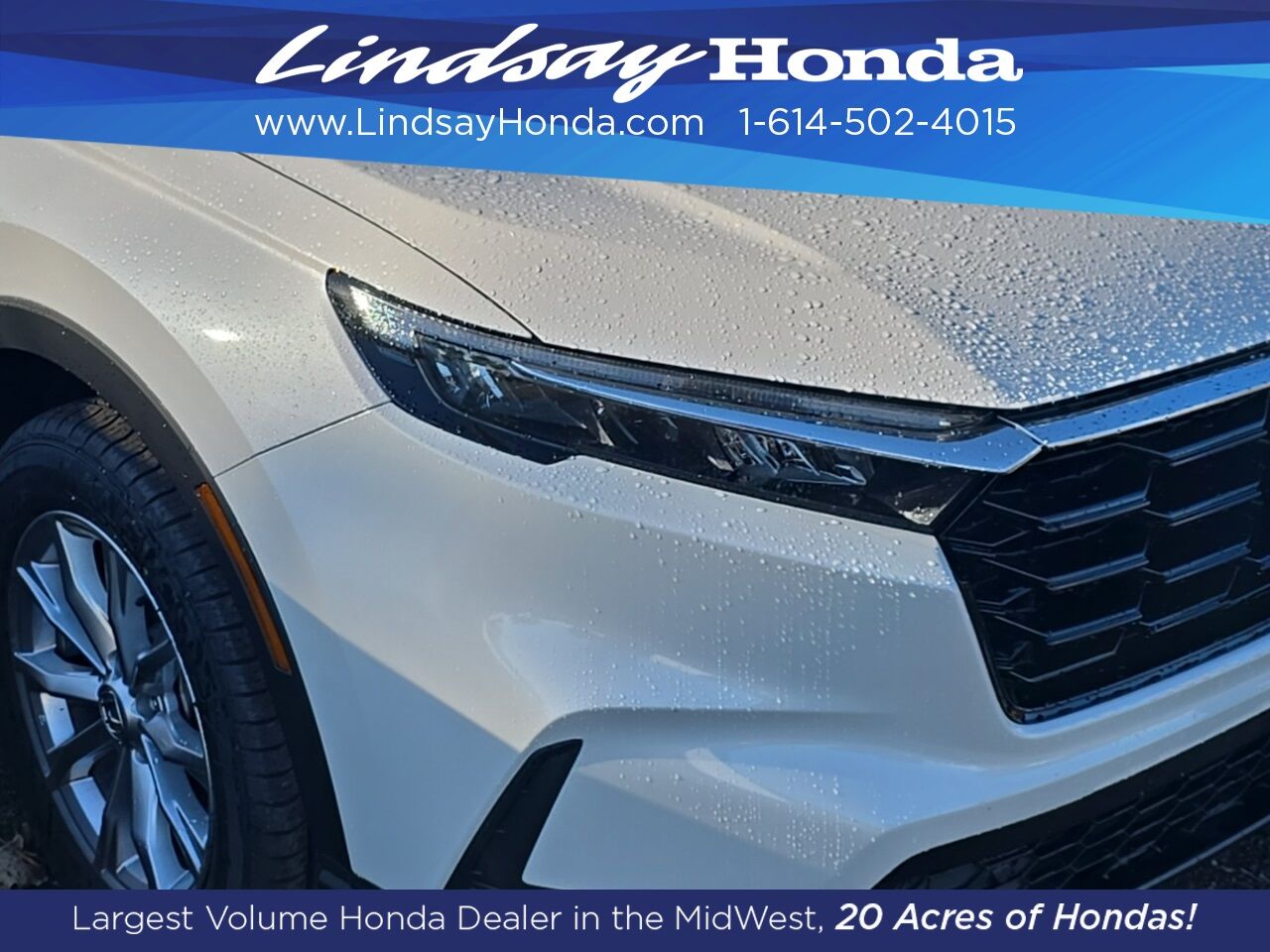 2024 Honda CR-V EX-L Columbus OH